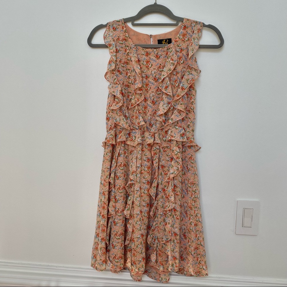 Beautiful SB casual floral dress size 4P